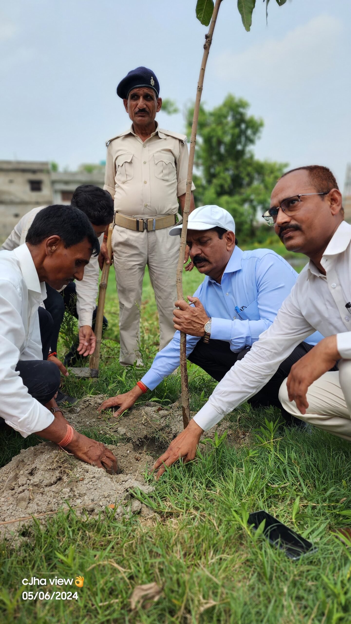 विश्व पर्यावरण दिवस के अवसर पर जिला पदाधिकारी ने किया वृक्षारोपण