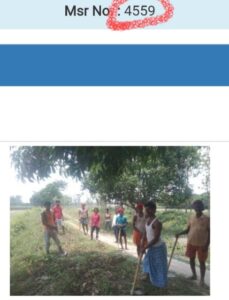 नौतन में मनरेगा योजना में 1 ही फोटो से 2 योजना में बन रही हाजरी