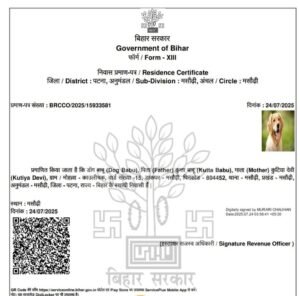 सुशासन के सरकार में कुता का भी बन रहा आवासीय प्रमाण पत्र