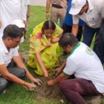 नगर निगम प्रशासन व निरोजा ग्रीन इंडिया के सहयोग से किया वृक्षारोपण