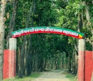 जंगल से भटक कर गांव में आया हिरण, वन विभाग ने किया रेस्क्यू