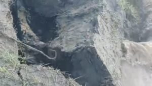 कटाव से किसानों की जमीन समाई, तटबंध पर मंडराने लगा खतरा