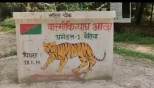 रिहायसी इलाके में बाघ की चहलकदमी से ग्रामीण भयभीत