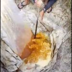 मांझी पुलिस ने दियारा क्षेत्र में अवैध शराब भट्ठियों पर की बड़ी कार्रवाई