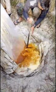 मांझी पुलिस ने दियारा क्षेत्र में अवैध शराब भट्ठियों पर की बड़ी कार्रवाई