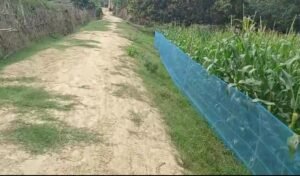 जीरामजी घोटाला : भगहा पंचायत में मजदूरों की फर्जी हाजिरी का मामला प्रकाश में आया