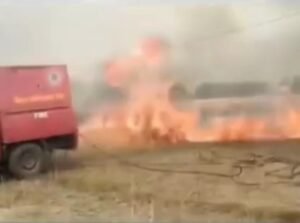 विद्युत लाइन से निकली चिंगारी से लगी आग, लगभग 15 बीघा गेहूं की फसल जलकर राख