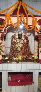 श्री शतचंडी महायज्ञ के छठवें दिन विधिवत पूजन के बाद माता को 56 भोग किया अर्पित