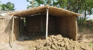 सरकारी जमीन पर धड़ल्ले से हो रहा अतिक्रमण