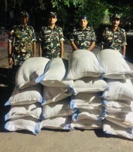 भारत-नेपाल सीमा पर सशस्त्र सीमा बल की बड़ी कार्रवाई, 720 किलो अवैध कद्दू बीज जब्त