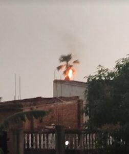 एकड़ीपुर में आकाशीय बिजली गिरने से ताड़ के पेड़ में लगी आग, सोशल मीडिया पर वीडियो वायरल