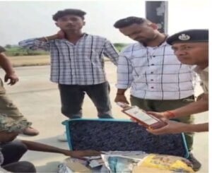 भारी मात्रा में देशी व विदेशी शराब बरामद, 14 कारोबारी गिरफ्तार