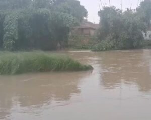 गौनाहा : ऊफ़ान पर बोहड़ा नदी पांच पंचायतों का संपर्क बाधित