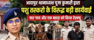 आदापुर पुलिस की बड़ी कार्रवाई, 4 गाय व एक बछड़ा रेस्क्यू, एक विधि-विरुद्ध बालक निरुद्ध
