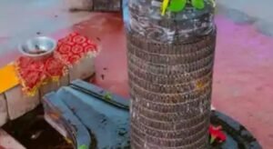 विराट रामायण मंदिर में सावन की पहली सोमवारी से 33 इंच के लघु सहस्रलिंगम पर मिलेगी रुद्राभिषेक