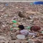 नेपाल में तबाही का भयावह मंजर बिहार में दिख रहा, गंडक में सैलाब के साथ बहकर आ रहे इंसानों के शव