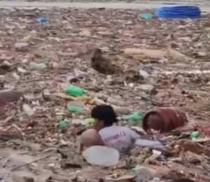 नेपाल में तबाही का भयावह मंजर बिहार में दिख रहा, गंडक में सैलाब के साथ बहकर आ रहे इंसानों के शव