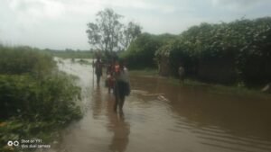 रोहुआ नाला उफान पर, चकदहवा, झंडवा टोला व बीन टोली में घुसा बाढ़ का पानी