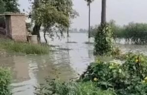 पश्चिम चंपारण के बाद मुजफ्फरपुर में बाढ़ का खतरा! साहेबगंज में घरों तक पहुंचा गंडक का पानी