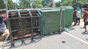 वाल्मीकिनगर में बाघ के हमले से तीसरी मौत, ग्रामीणों का फूटा आक्रोश