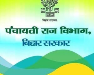 पंचायत विकास दिवस पर जिले की सभी 303 पंचायतों में हुआ कार्यक्रम का आयोजन