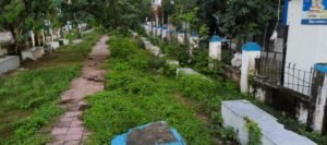 एकमा प्रखंड कार्यालय के सामने बना पार्क बदहाल, झाड़-झंखाड़ के बीच बेकार पड़ीं बेंचें