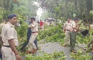 मुख्यमंत्री सचिवालय के बाहर गिरा विशालकाय पेड़, बाल-बाल बचे सीएम के सुरक्षाकर्मी; बड़ा हादसा टला
