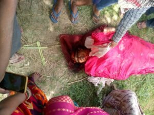 बगहा : खेत में काम कर रही महिला पर बाघ का हमला, मौत से इलाके में दहशत